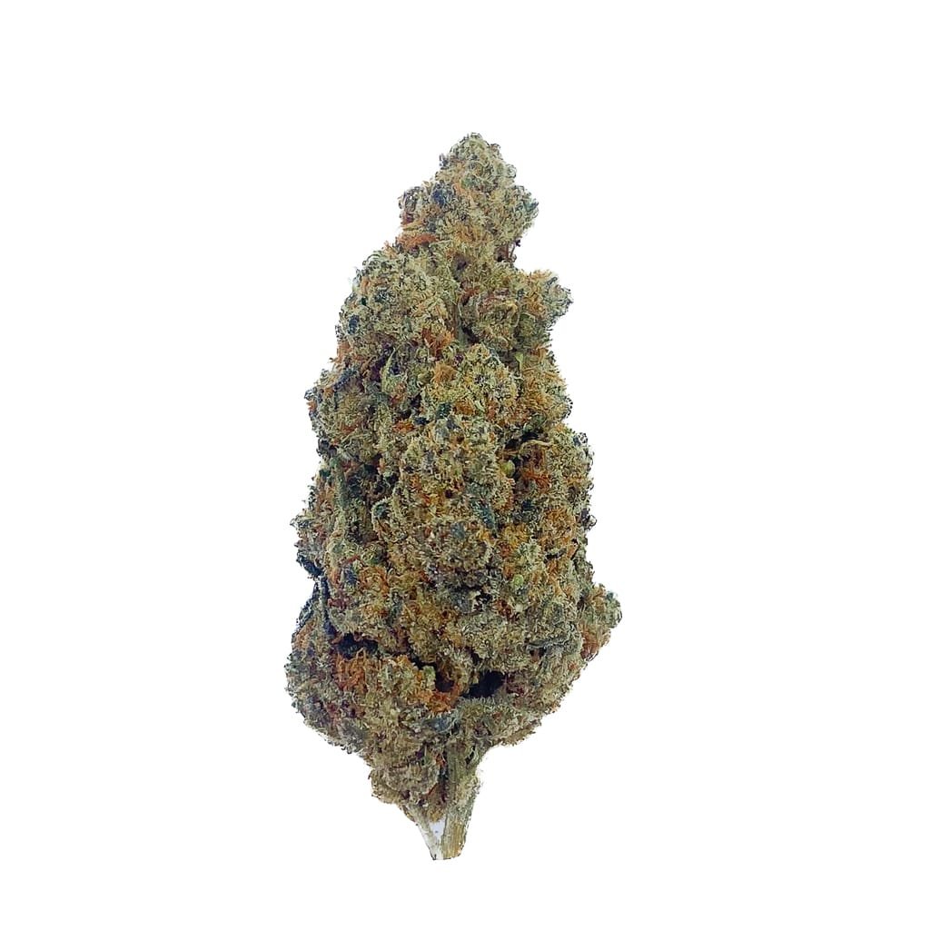 cannabis legal Amnesia Prime CBD