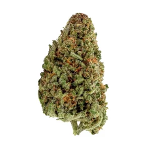 CANNABIS LEGAL Cherry-CBD-Big-Bud-Glass-House