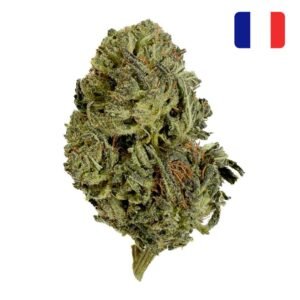 Tangie Candy THCX 2.0 GRENN-HOUSE