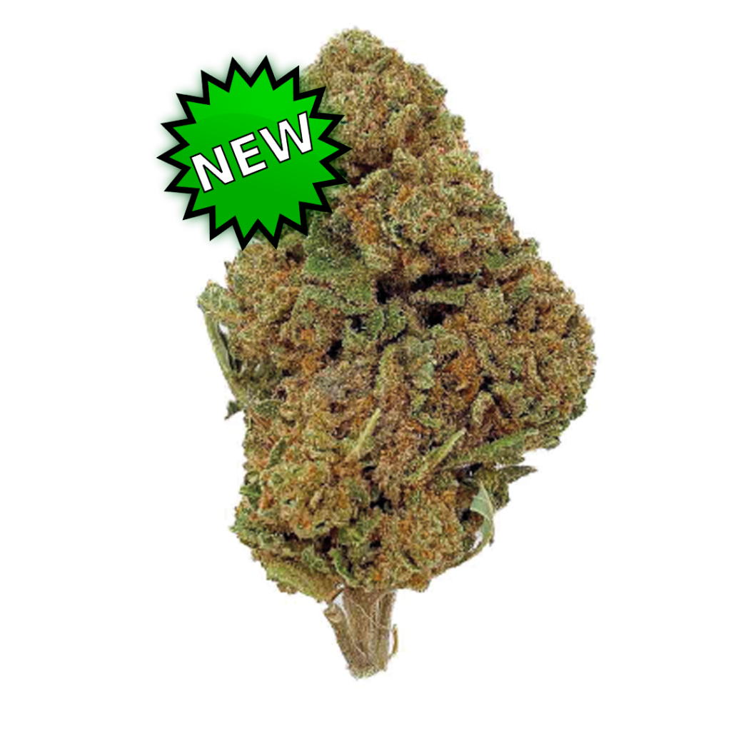 import placeholder for 3188