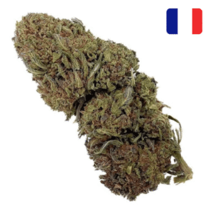 jack herer thcx 2.0 mistura de botões green house