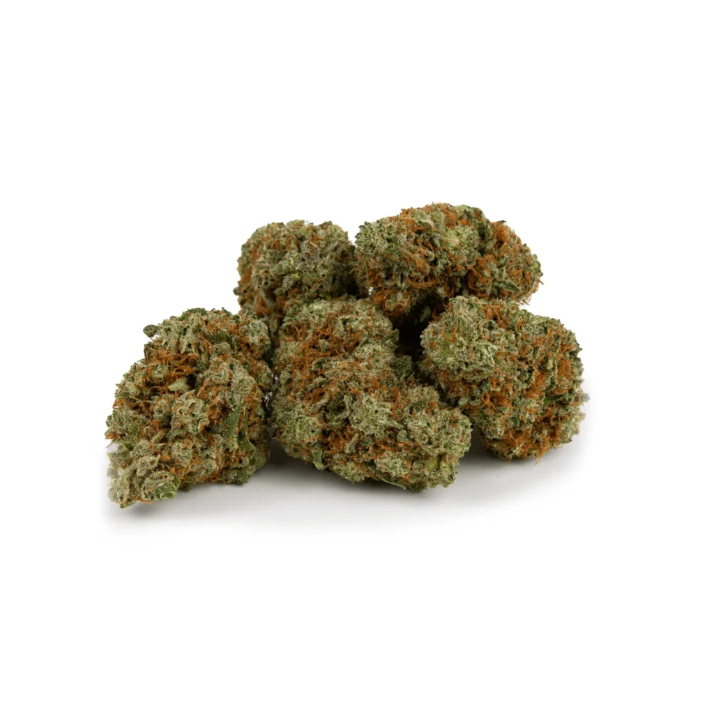 amnesia cbd small buds