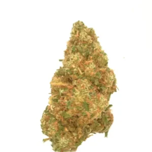 cannabis Orange Big CBDV Estufa