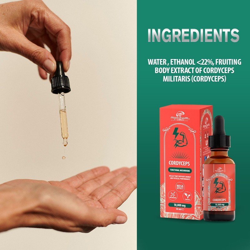 cordyceps mushroom extract 30 ml