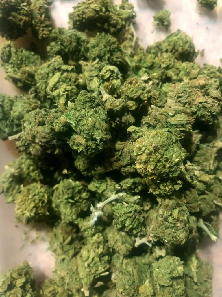 Cannabis legal White Widow Small CBDV