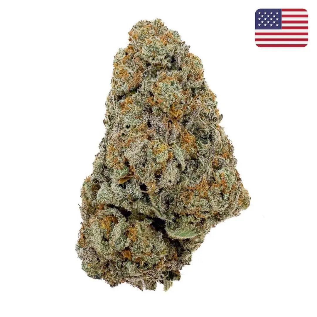 Gelato ButterCream THCX Big Bud Interior