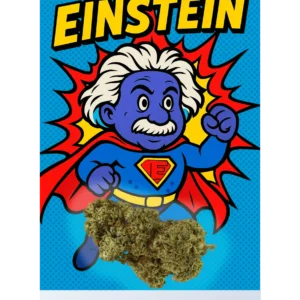 EINSTEIN – Flor BLUEBERRY Premium PHC
