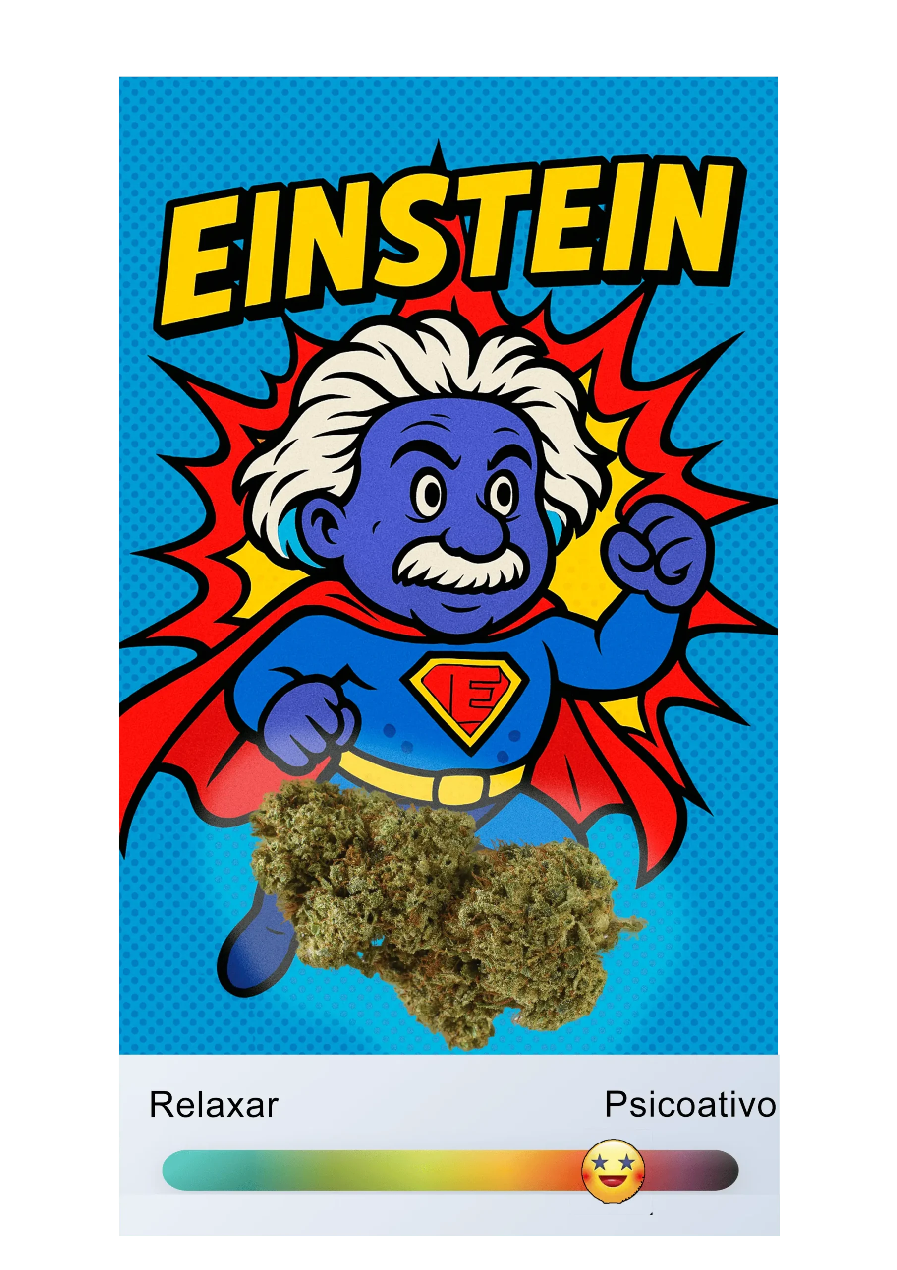 EINSTEIN – Flor BLUEBERRY Premium PHC